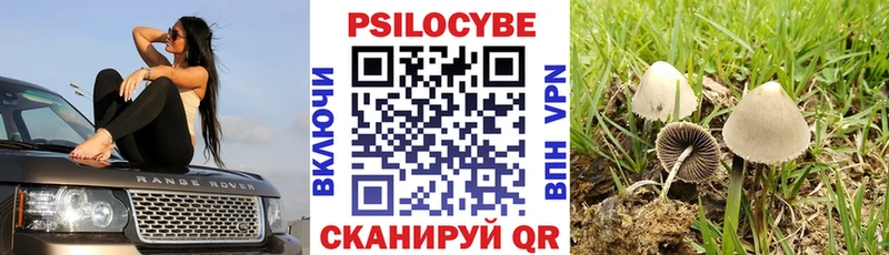 кракен онион  Харовск  Галлюциногенные грибы ЛСД  наркотики 